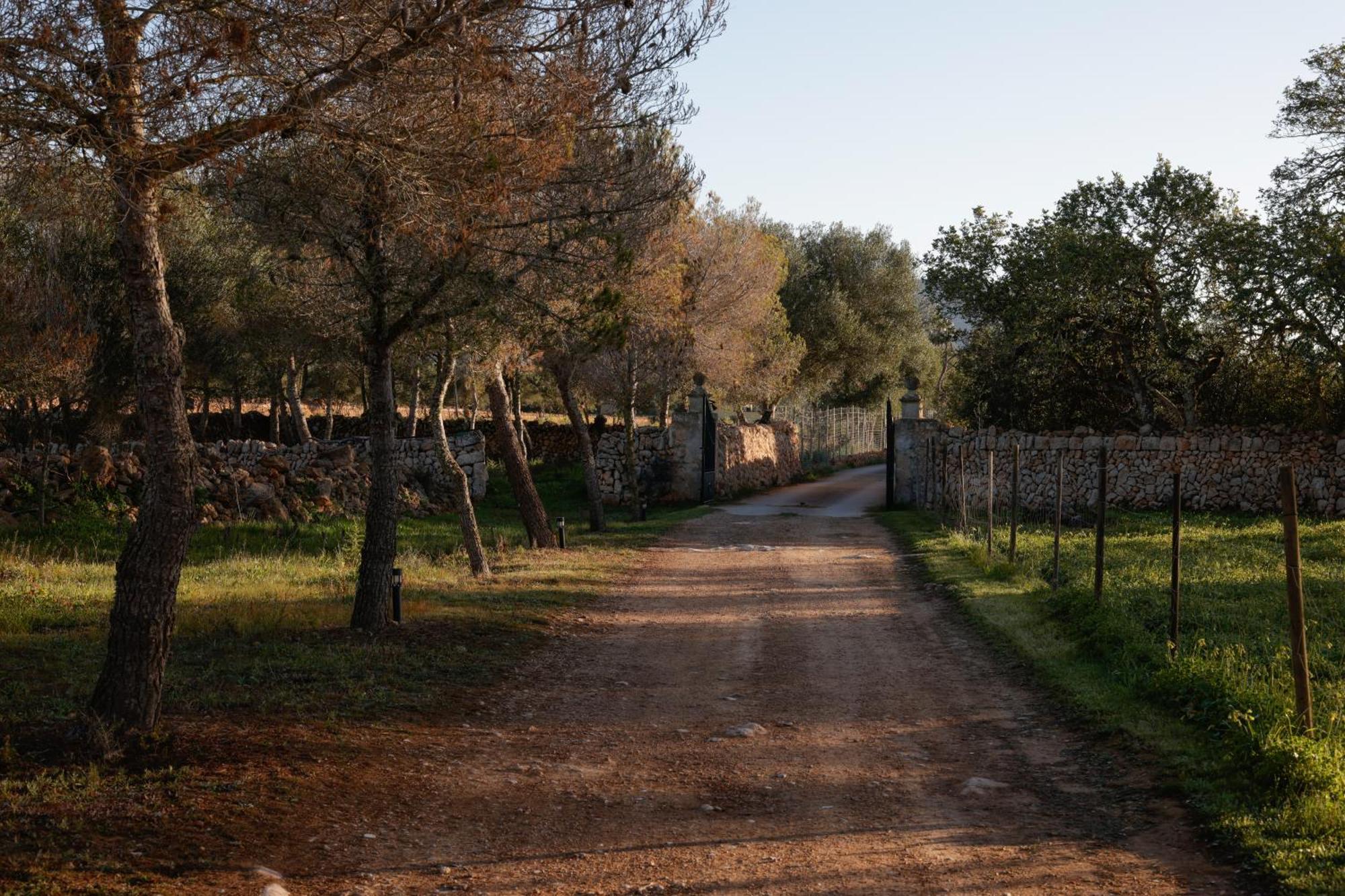 Agroturismo Finca Son Pieras Llucmajor  Exterior foto